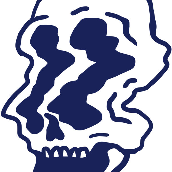 Elements Skulls logo template 95 Miniaturansicht