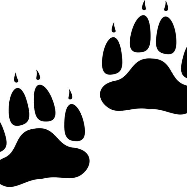 Bear   Clipart 2 Miniaturansicht