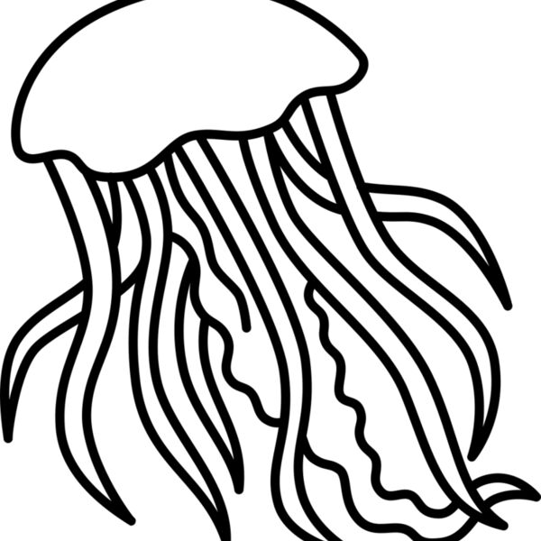 Jellyfish   Clipart 2 Miniaturansicht