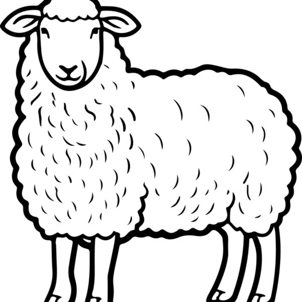 Lamb   Clipart 4 Miniaturansicht