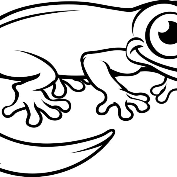 Newt   Clipart 3 Miniaturansicht