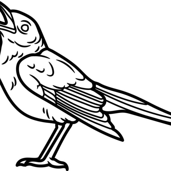 Nightingale   Clipart 1 Miniaturansicht