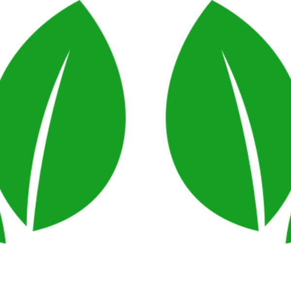 11 Leaves Miniaturansicht