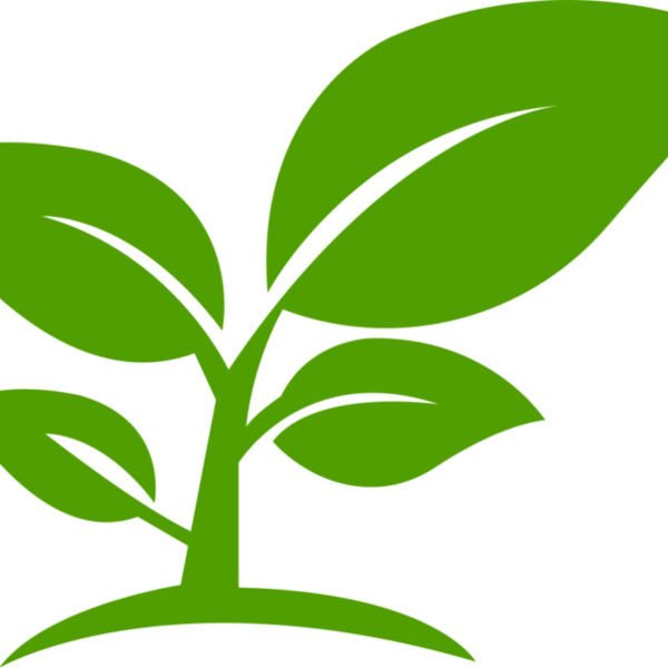 12 Leaves Miniaturansicht