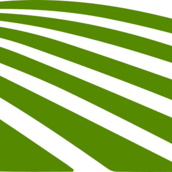 67 Rice Field Miniaturansicht